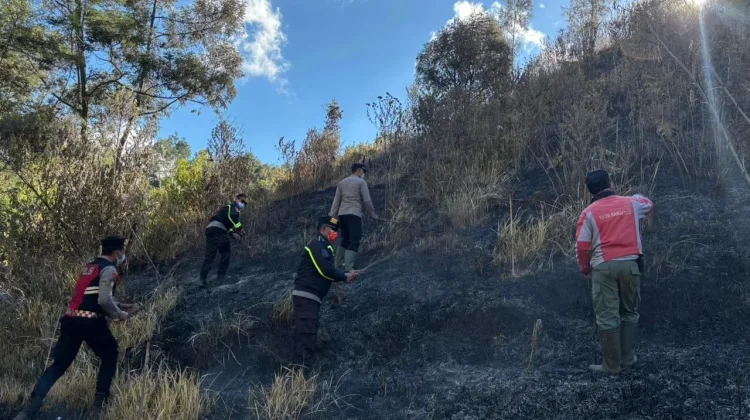 Karhutla Semeru Belum Padam, 172 Pendaki Dievakuasi Selamat