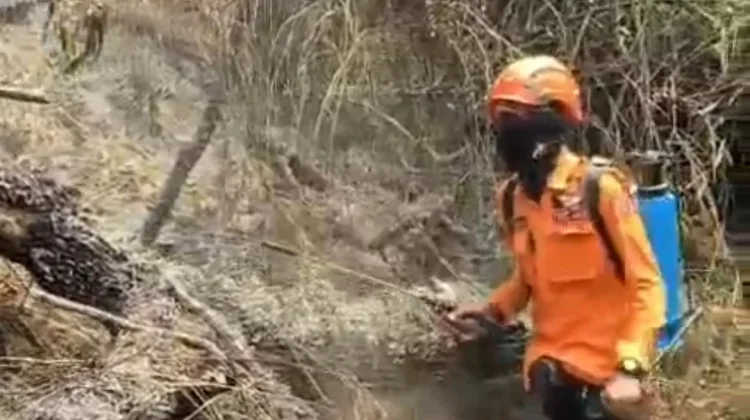 Water Bombing 12 Rit Diterjunkan untuk Padamkan Api di Kawasan Ranupani