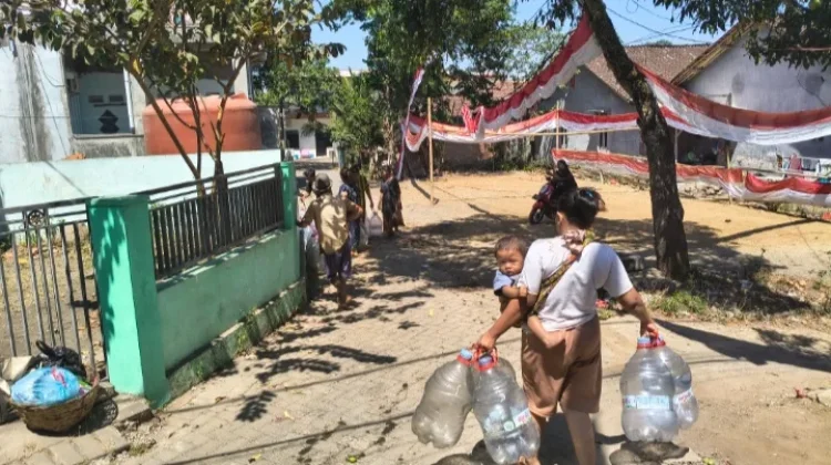 BPBD Jember Catat 1.052 KK Terdampak Kekeringan di 8 Kecamatan