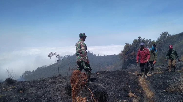 Tim Gabungan Cegah Terjadinya Kebakaran Lanjutan pada Kawasan TNBTS