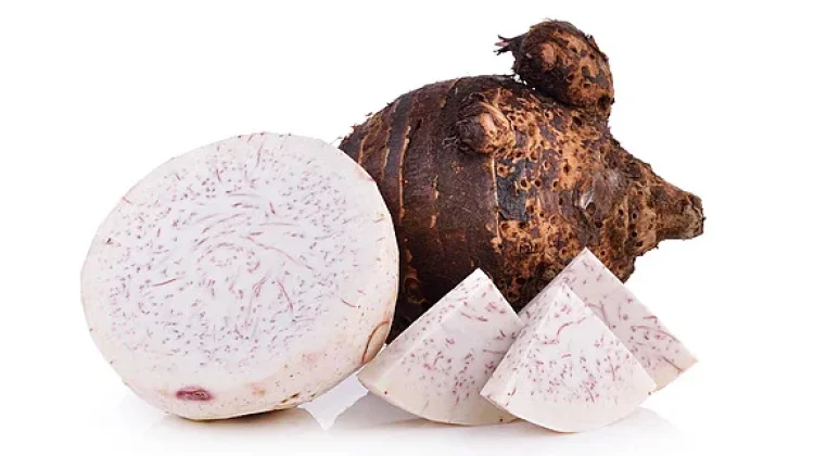 Kimpul, Umbi-Umbian Kaya Manfaat dan Nutrisi