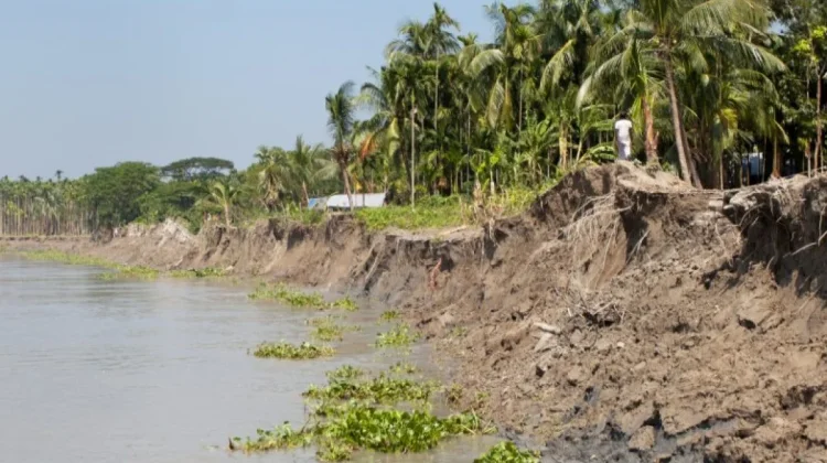 Konservasi Tanah dan Air Jadi Upaya Kendalikan Erosi dan Sedimentasi di Jember