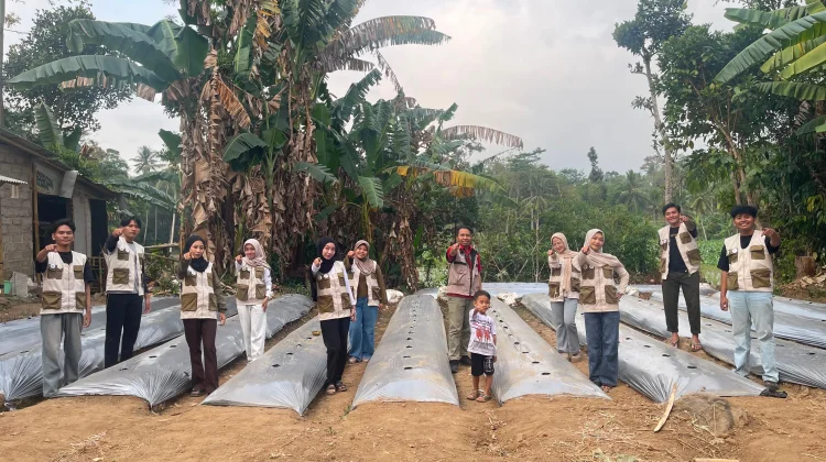 Mahasiswa Unej Kembangkan Okra Menjadi Produk Minuman