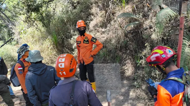 Ratusan Hektar Kawasan TNBTS di Lumajang Terbakar
