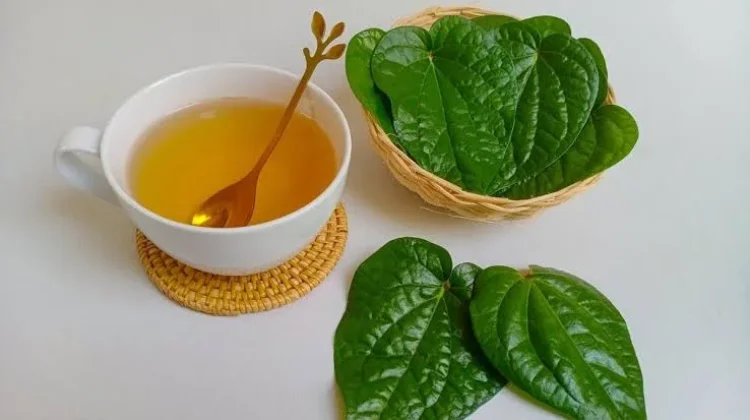 Minuman untuk Panas dalam yang Aman Dikonsumsi