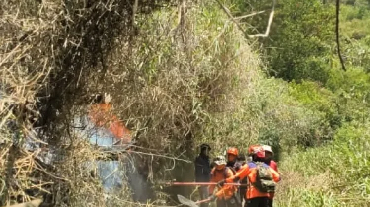 Kebakaran Hutan Semeru Meluas ke 600 Hektare, Jalur Pendakian Ditutup