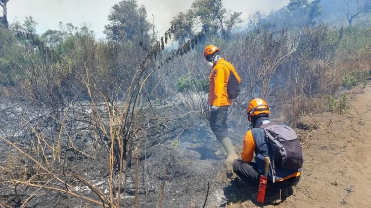 Titik Api Mendekati Ranupane, BPBD Lumajang Ingatkan Warga Pentingnya Kewaspadaa