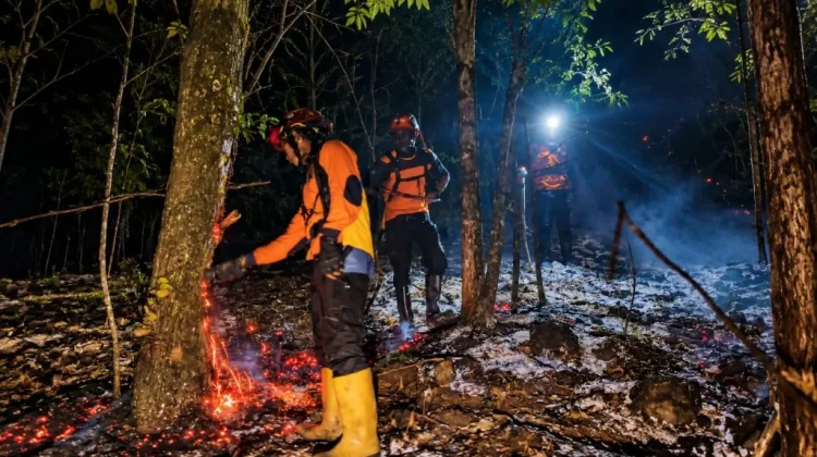 Karhutla Gunung Lemongan Padam, Kolaborasi dan Deteksi Dini Jadi Kunci