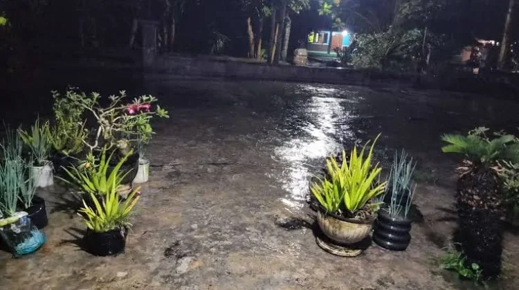 Wilayah Lumajang dan Jember di Guyur Hujan