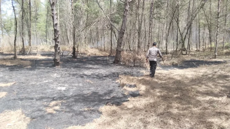 Polsek Pasirian dan Warga Padamkan Titik Api di Hutan Pantai Dampar