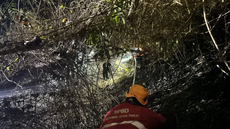 BPBD Jember Catat 28 Kebakaran Selama Musim Kemarau, Warga Diminta Waspada