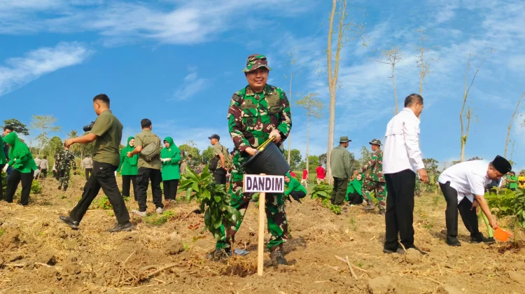 Kodim 0822 Bondowoso Tanam 1.000 Pohon untuk Penghijauan, Warga Diimbau Jaga Hutan
