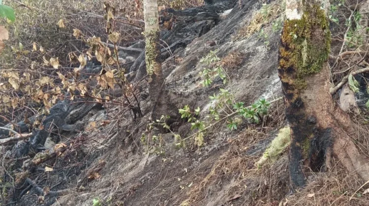 Gunung Raung Terbakar, Jalur Pendakian Ditutup sementara