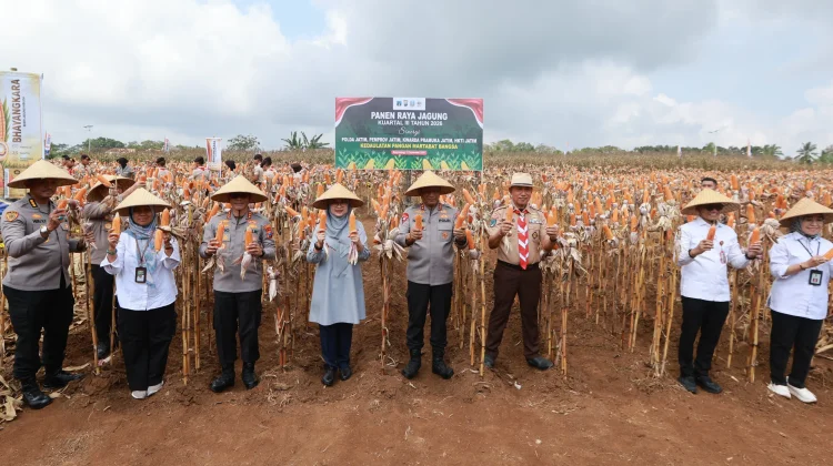 Kapolda Jatim Panen Raya Jagung, Banyuwangi Perkuat Ketahanan Pangan
