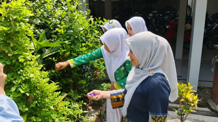 SMA 2 Bondowoso Olah Bunga Telang Jadi Minuman Berkhasiat