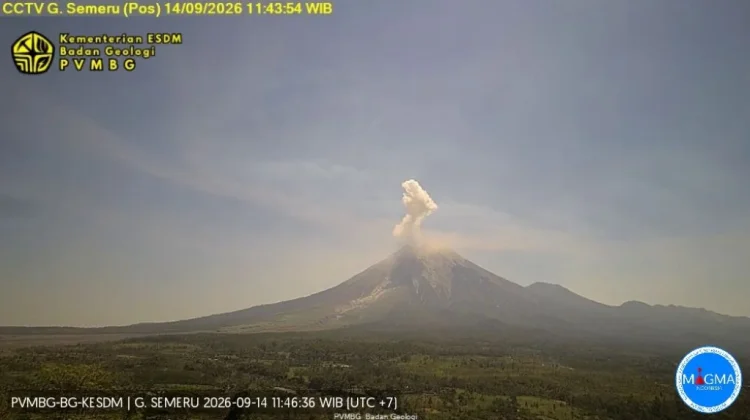 Semeru Masih Level III, Pemantauan 24 Jam Diperkuat untuk Percepat Informasi