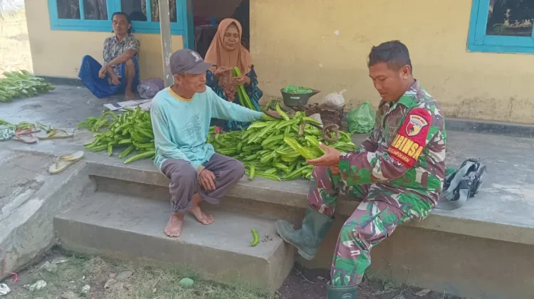 Kecipir Berpotensi Menjadi Usaha Ekonomi Keluarga Lumajang