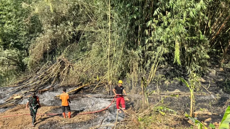 PMI Jember Perkuat Koordinasi Hadapi Karhutla di Tengah Kemarau Panjang