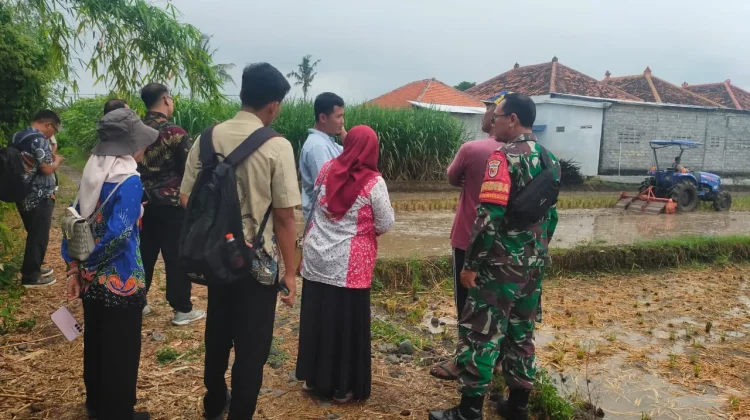TNI di Lumajang Dorong Produktivitas Pertanian