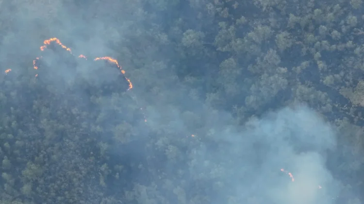 Titik Api Baru Muncul di Cagar Alam Gunung Merapi Ungup-Ungup Ijen