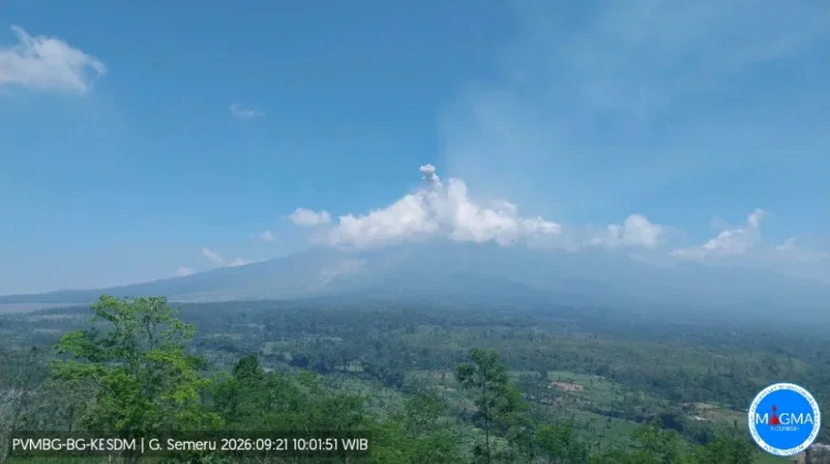 Erupsi Semeru, Kolom Abu 500 Meter Mengarah ke Timur Laut