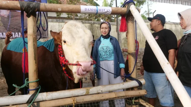 Kontes Ternak Kembali Digelar, Peternak Lumajang Dapat Ruang Tunjukkan Potensi