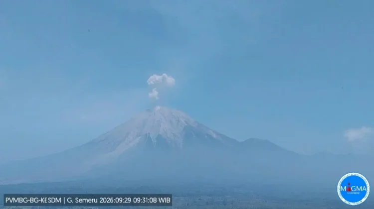 Semeru Kembali Berdentum, Kenali Batas Aman di Sekitar Besuk Kobokan