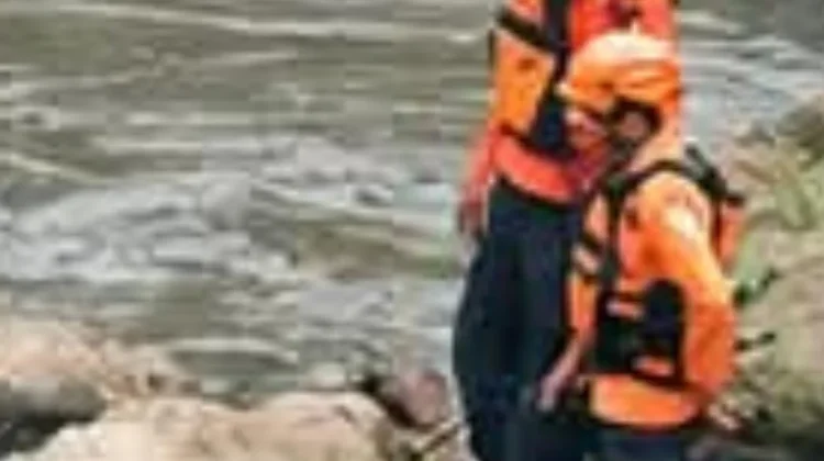 Tim SAR Gabungan Cari Lansia 79 Tahun Diduga Tenggelam di Sungai Bondoyudo
