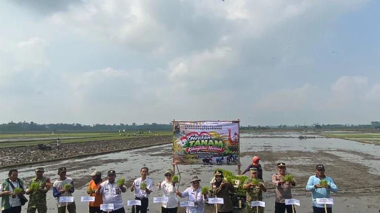 Gerakan Tanam Serentak, 6 Hektare Sawah di Rowokangkung Ditanami Padi