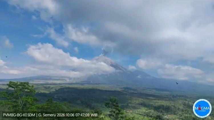 Gunung Semeru Erupsi, Kolom Abu Capai 800 Meter