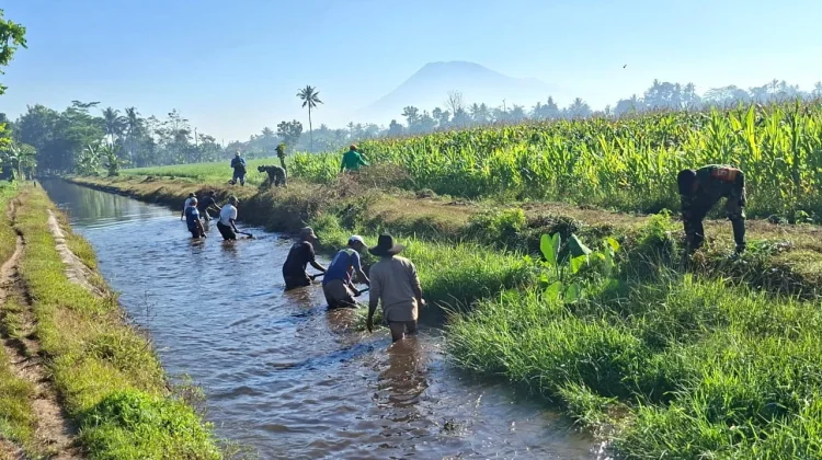 Petani di Dawuhan Wetan Bersihkan Saluran Irigasi