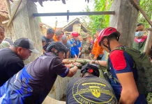 Warga Tamankrocok Jatuh ke Sumur Kering