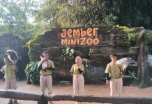 Hadirkan Ramadhan Unik Bersama Jember Mini Zoo