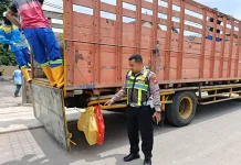 Warga Banyuwangi Meninggal Tabrak Truk Parkir di Pancer