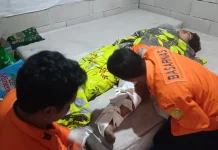 Pendaki Gunung Rante Terpeleset Dievakuasi SAR Banyuwangi