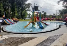 Sumber Takir, Oase Hijau Desa Jokarto yang Siap Menyambut Wisatawan
