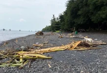 Sampah Kiriman Penuhi Pantai Banyuwangi