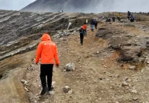 Hari Kedua Pencarian Pendaki Hilang Fokus Jalur Pendakian Ijen
