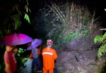 Longsor Pakem Bondowoso, Akses Jalan Sempat Tertutup