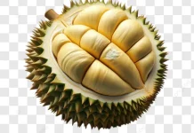 Makanan yang Tak Boleh Dikonsumsi Bersama Durian