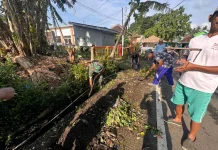 Pembersihan Irigasi Cegah Banjir Lumajang