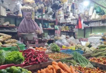 Haega Cabai Merah Kecil Berangsur Turun