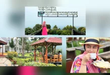Puncak Rembangan Jember Surga Sejuk Diatas Kota