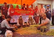 Produksi Padi Semi Organik di Situbondo Capai 8 ton per Hektare