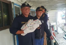 Bayi Lahir Darurat di KMP Satria Nusantara