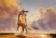 Fosil Spesies Baru Dinosaurus Raksasa Spinosaurus Ditemukan di Niger