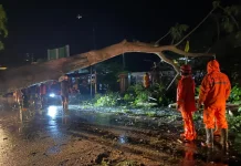 Cuaca Ekstrem Tumbangkan Pohon dan Tiang Listrik di Cermee