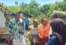 Rumah Pasutri Lansia Ambruik Tertimpa Pohon Randu