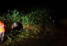 Angin Kencang Rusak 57 Rumah di Banyuwangi