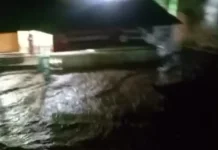 Sejumlah Wilayah di Situbondo Terendam Banjir Luapan Sungai